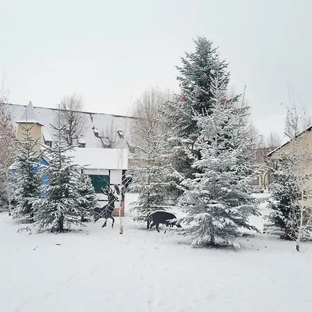 D'hotes Du Marche Aux Grains