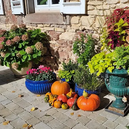 D'hotes Du Marche Aux Grains Gasthof 3*