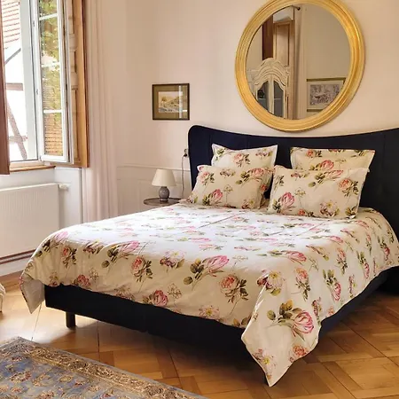 D'hotes Du Marche Aux Grains Pensionat Bouxwiller (Bas-Rhin)